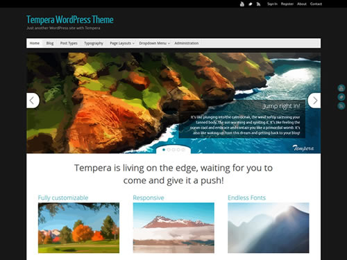  WordPress Theme