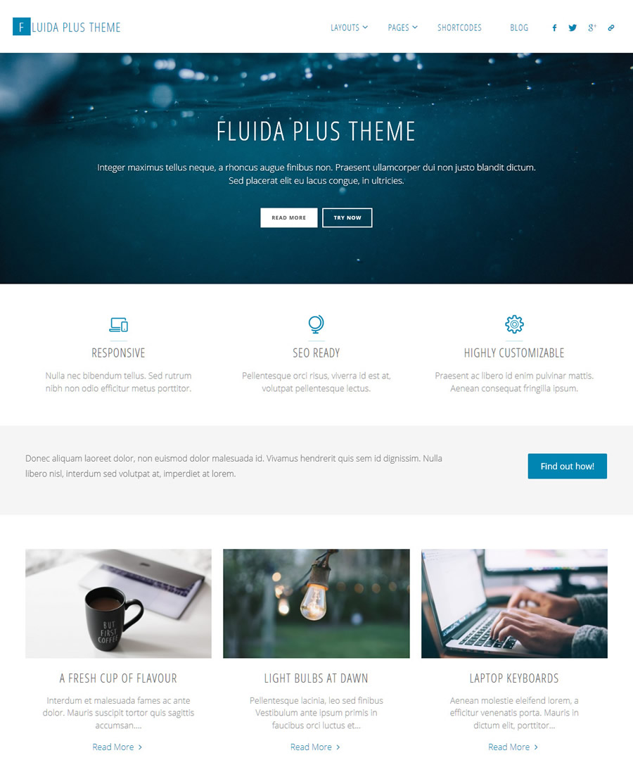 Fluida WordPress Theme