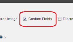 Enabling custom fields area