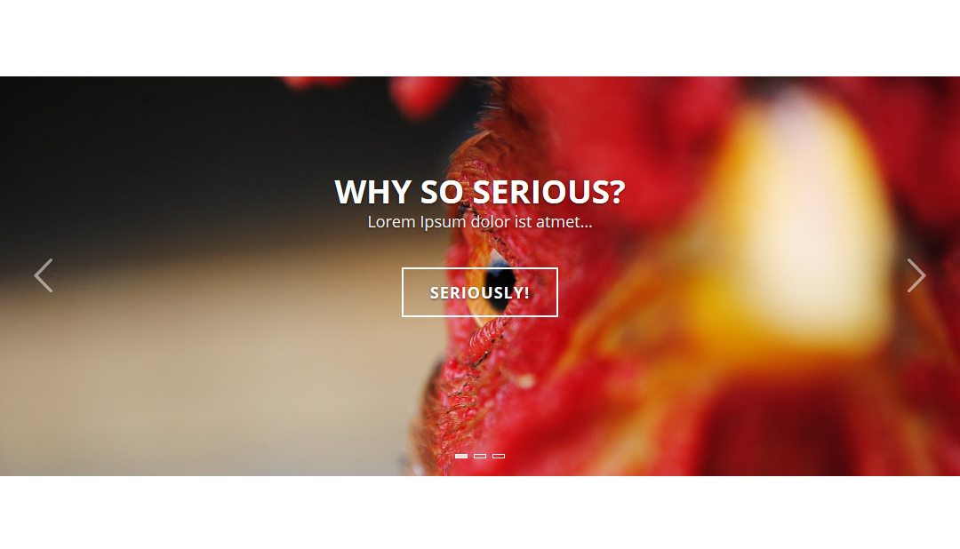 Cryout Serious Slider Plugin