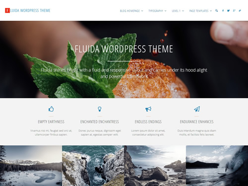 Fluida WordPress Theme