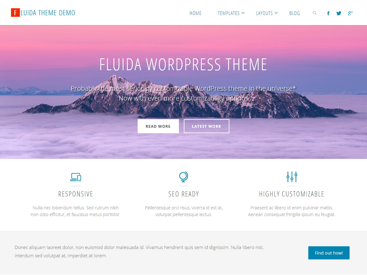 Fluida Plus WordPress Theme