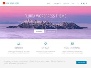fluida-wordpress-theme-tiny