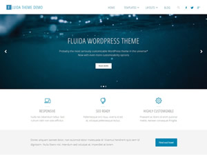 fluida-wordpress-theme-tiny-153