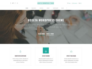 roseta-wordpress-theme-tiny